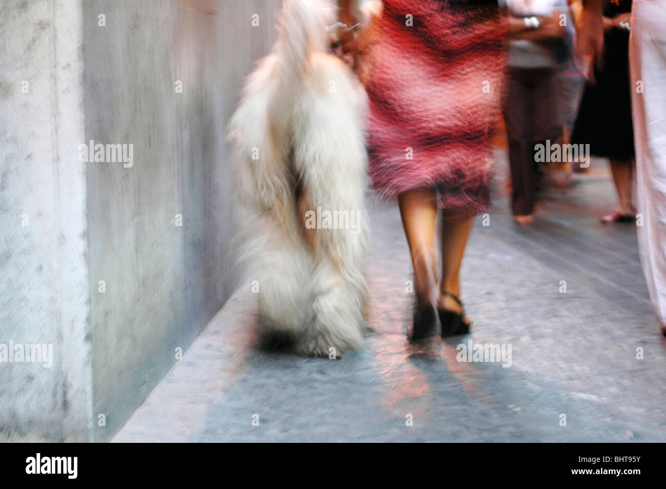 Dame à Big White Dog in city centre street Banque D'Images