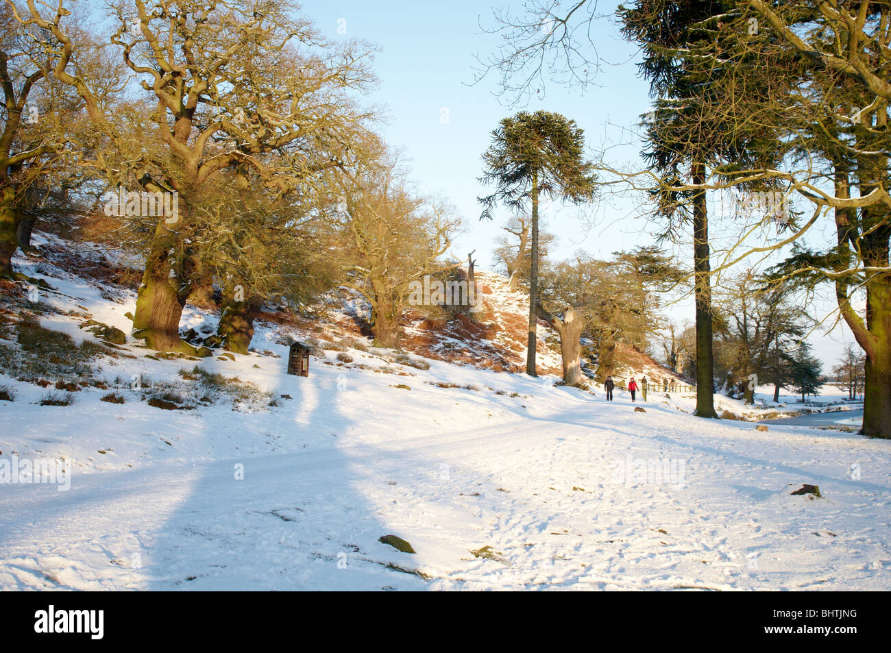 Scène d'hiver enneigé à Bradgate Park, Newtown Linford, Leicestershire Banque D'Images