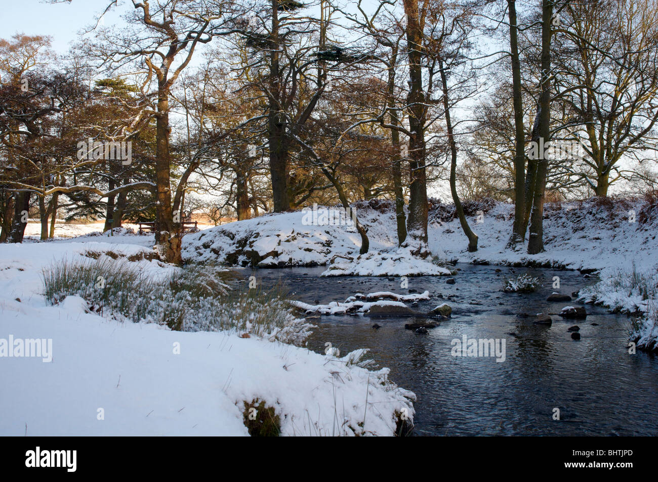 Scène d'hiver enneigé à Bradgate Park, Newtown Linford, Leicestershire Banque D'Images