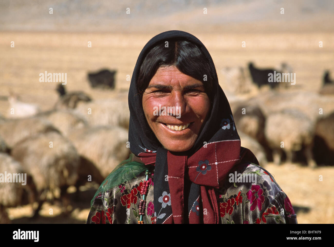 Qashqai (Kashkai) personnes troupeaux de moutons sur le plateau, sud-ouest de l'Iran Banque D'Images