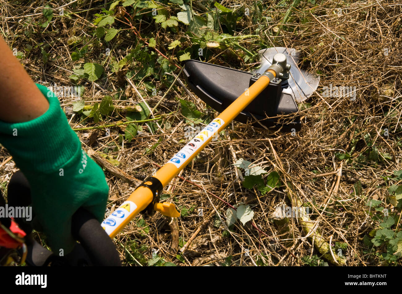 Débroussailleuse utilisée pour couper les mauvaises herbes sur une parcelle  d'attribution Photo Stock - Alamy