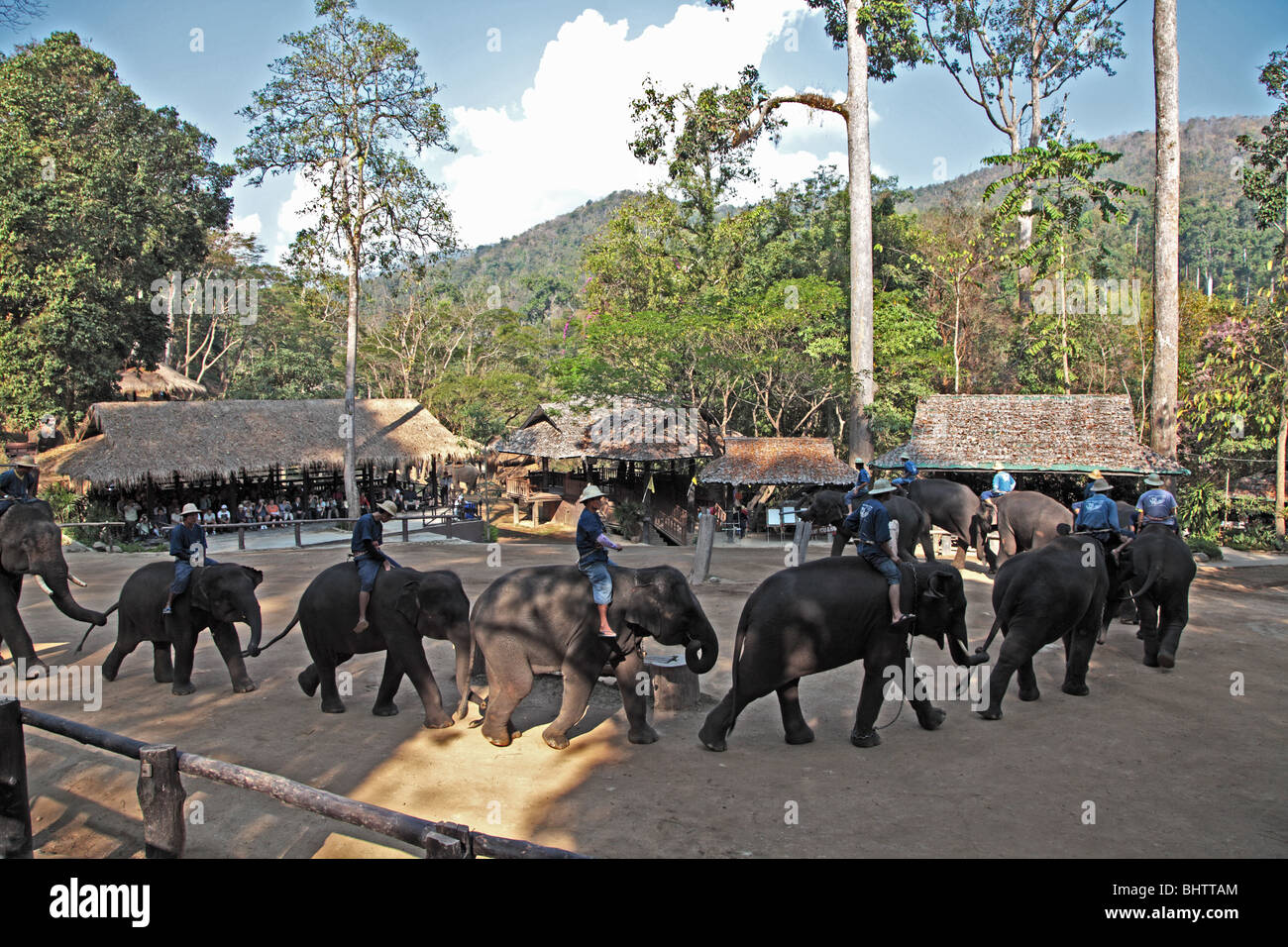 Maesa Elephant Camp afficher près de Chiang Mai, Thaïlande Banque D'Images Maesa Elephant Camp afficher près de Chiang Mai, Thaïlande Banque D'Images