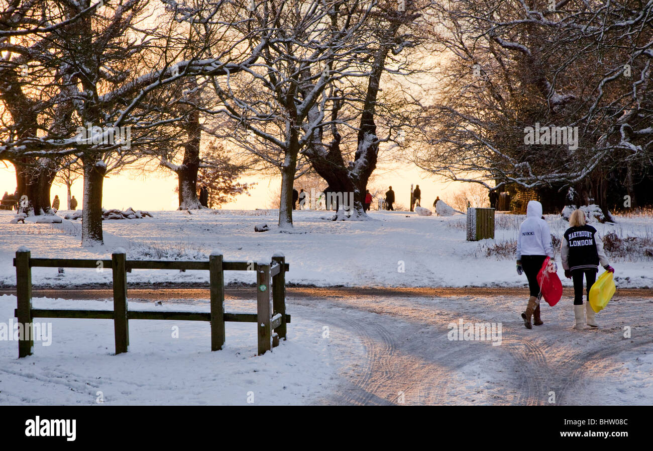 La luge en parc Richmond Surrey UK Europe Banque D'Images