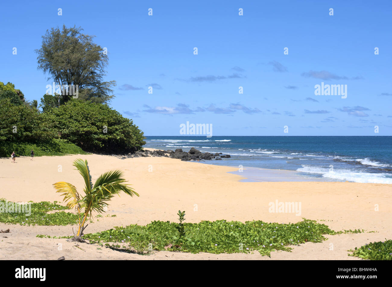 Ha'ena Beach Kauai HI Banque D'Images