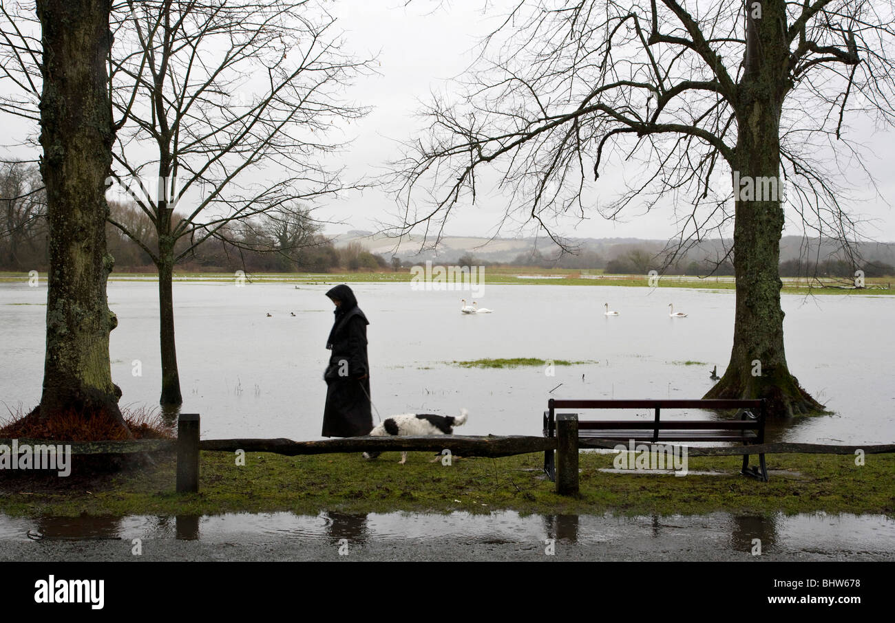 Dame promener son chien en hiver par un champ inondé Banque D'Images