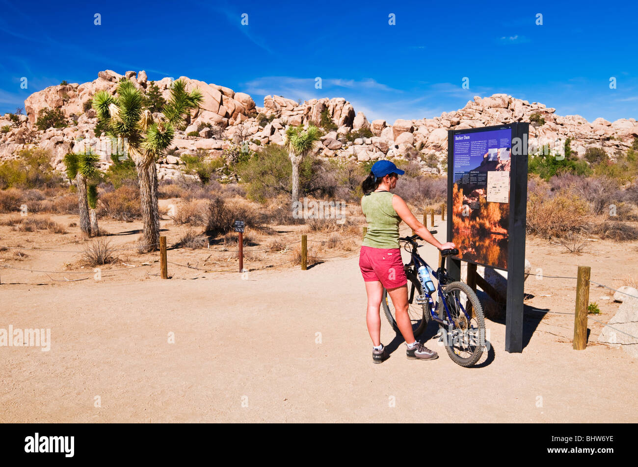 Panneau d'interprétation et des visiteurs au départ du sentier à Barker Dam, Joshua Tree National Park, Californie Banque D'Images