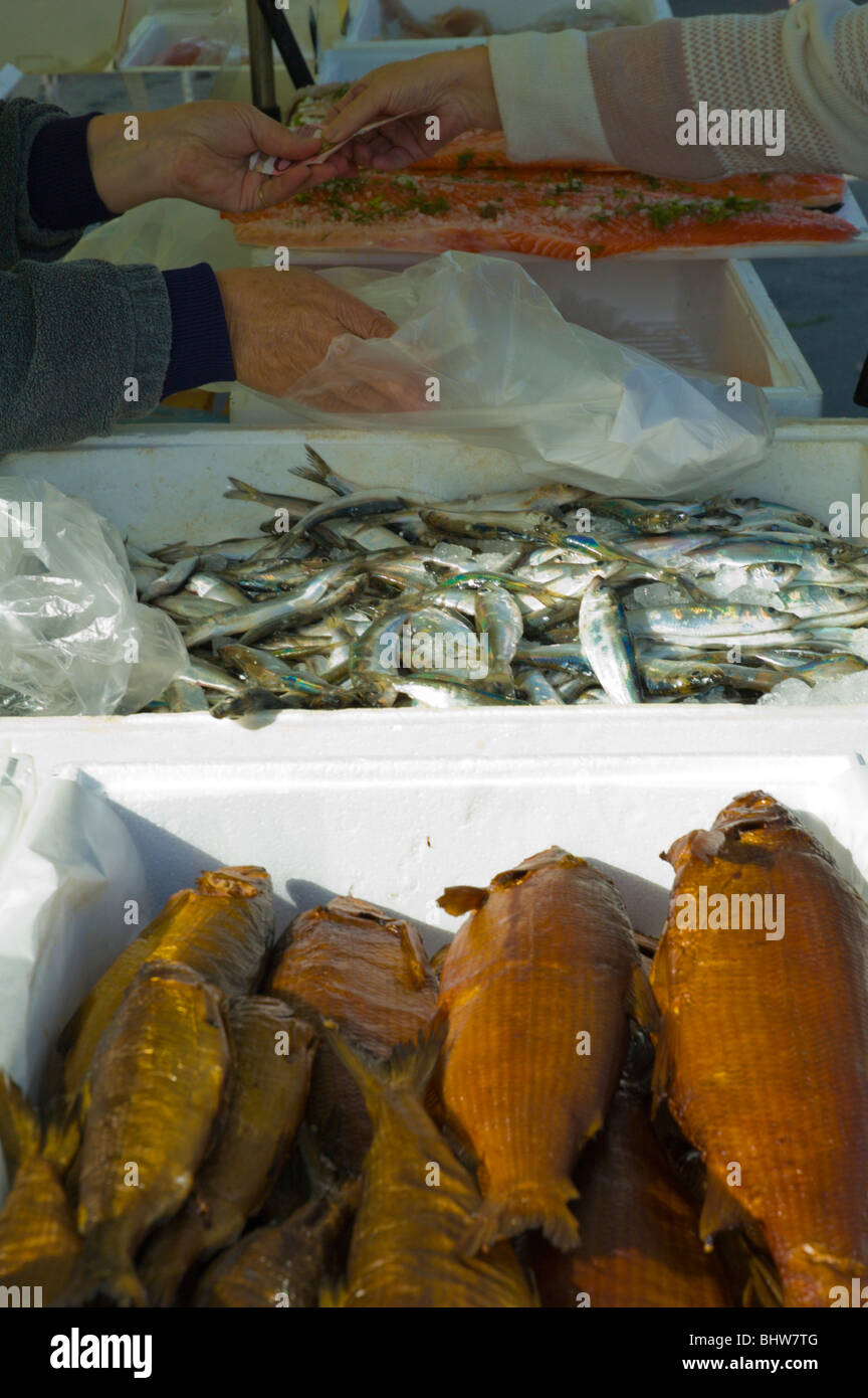 Décrochage du poisson à la place du marché Kankaanpää Finlande occidentale, l'Europe du Nord Banque D'Images