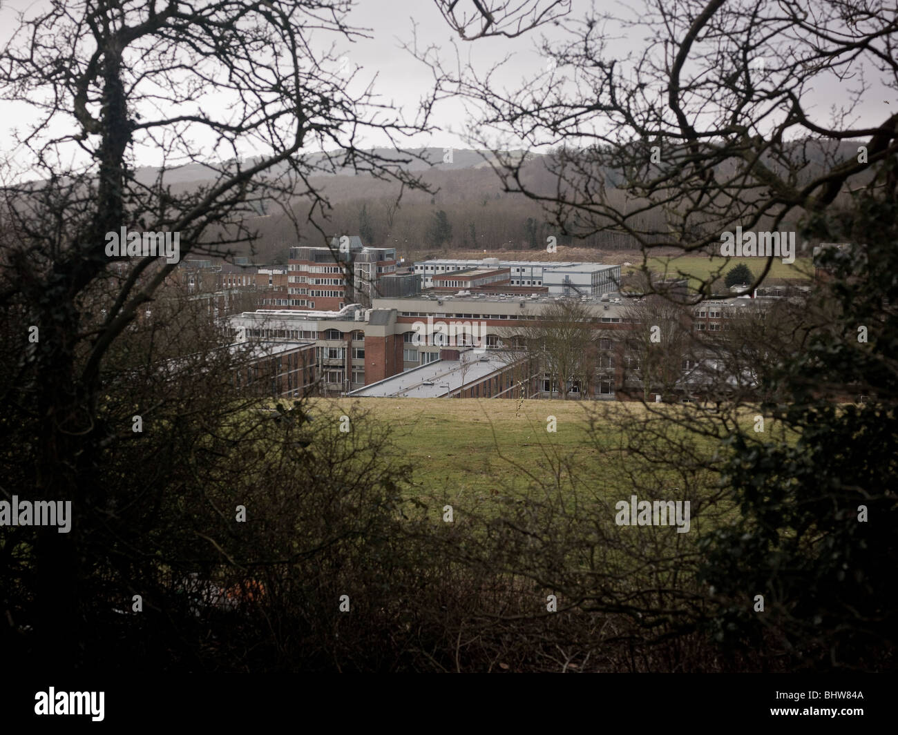 Campus de l'Université de Sussex, Brighton, East Sussex. Banque D'Images
