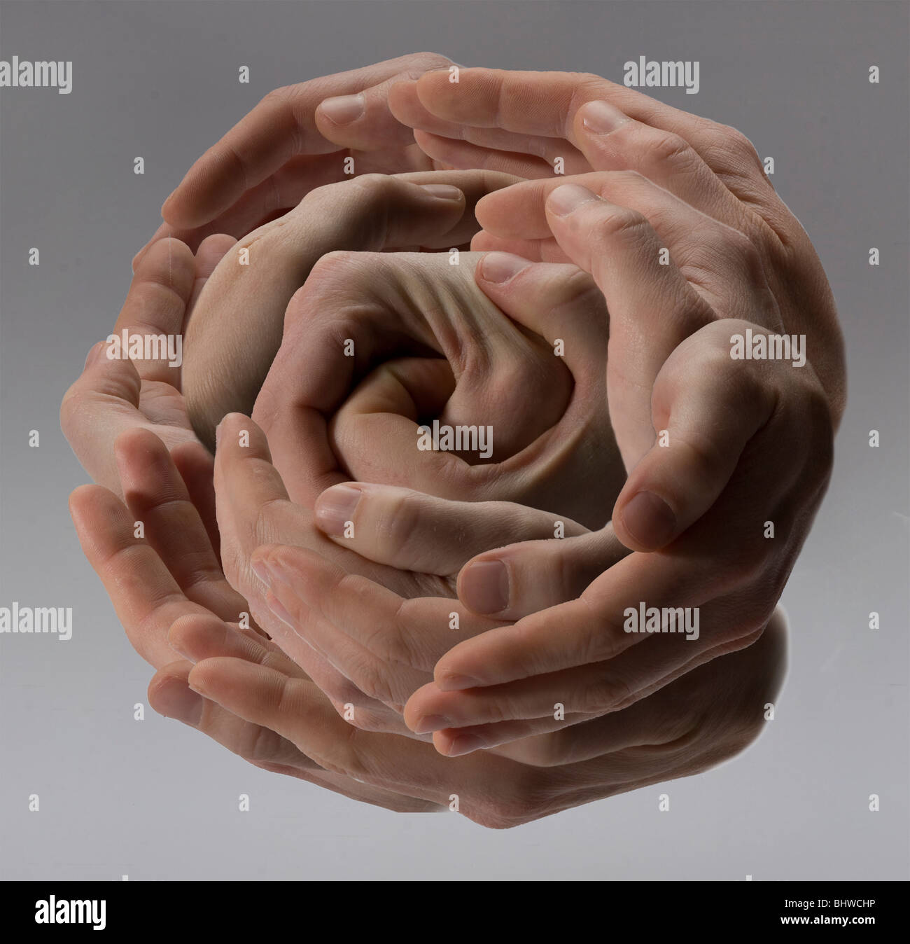 A fleur de mains humaines Banque D'Images