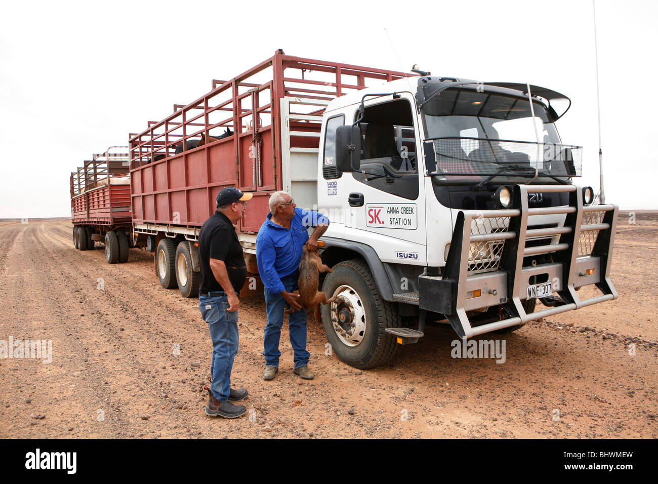 Agriculteur autochtone avec chariot pour son bétail, dans l'outback de l'Australie. Banque D'Images