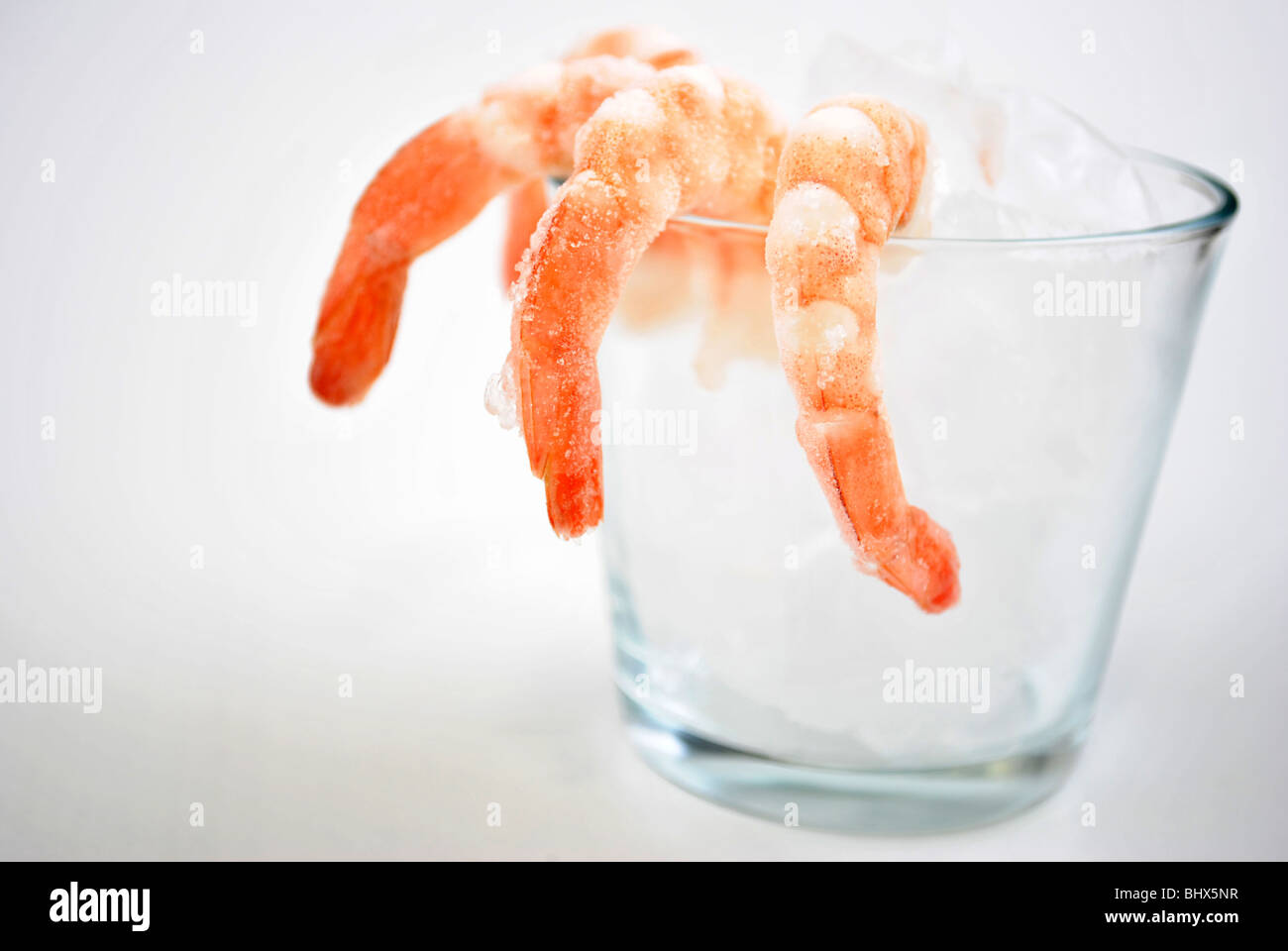 Certaines crevettes congelées et un verre avec de la glace Banque D'Images