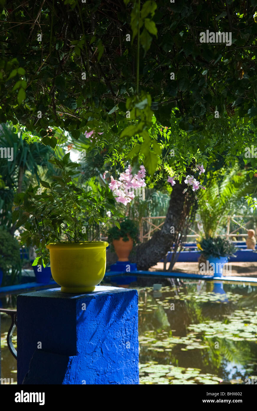 Dispositif de l'eau dans le Jardin Majorelle, Marrakech, Maroc. Banque D'Images