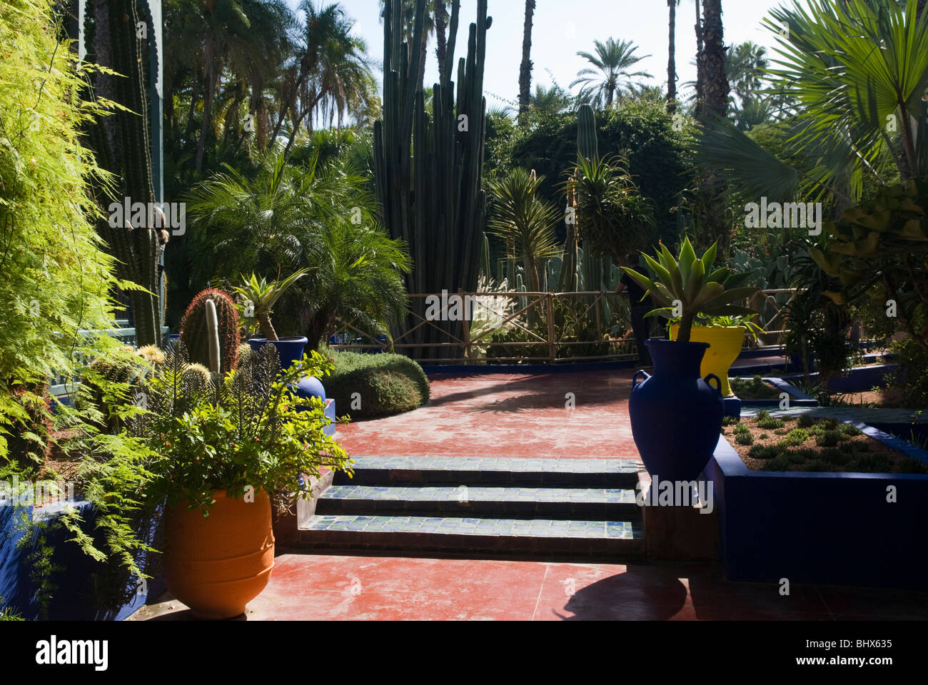 Jardin Majorelle, Marrakech, Maroc. Banque D'Images