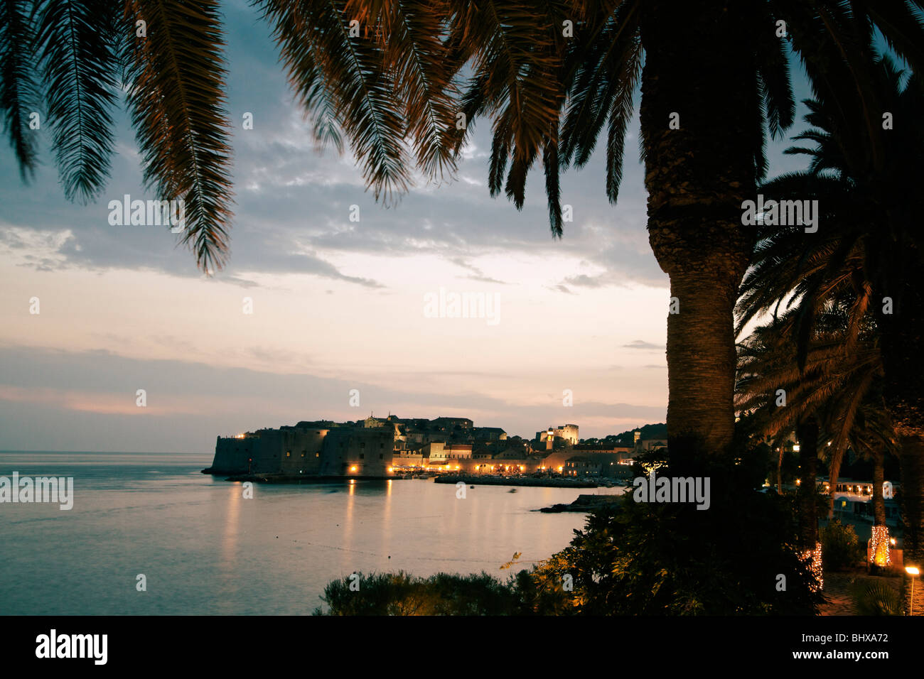 Palmiers et de la vieille ville de Dubrovnik au coucher du soleil , côte dalmate, en Croatie Banque D'Images