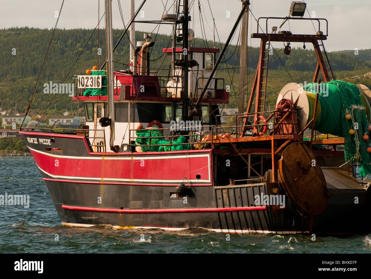 Terre-neuve, bateaux de pêche commerciale, des pièges et des filets. Le port de Saint Antoine. Village de Saint Anthony Banque D'Images