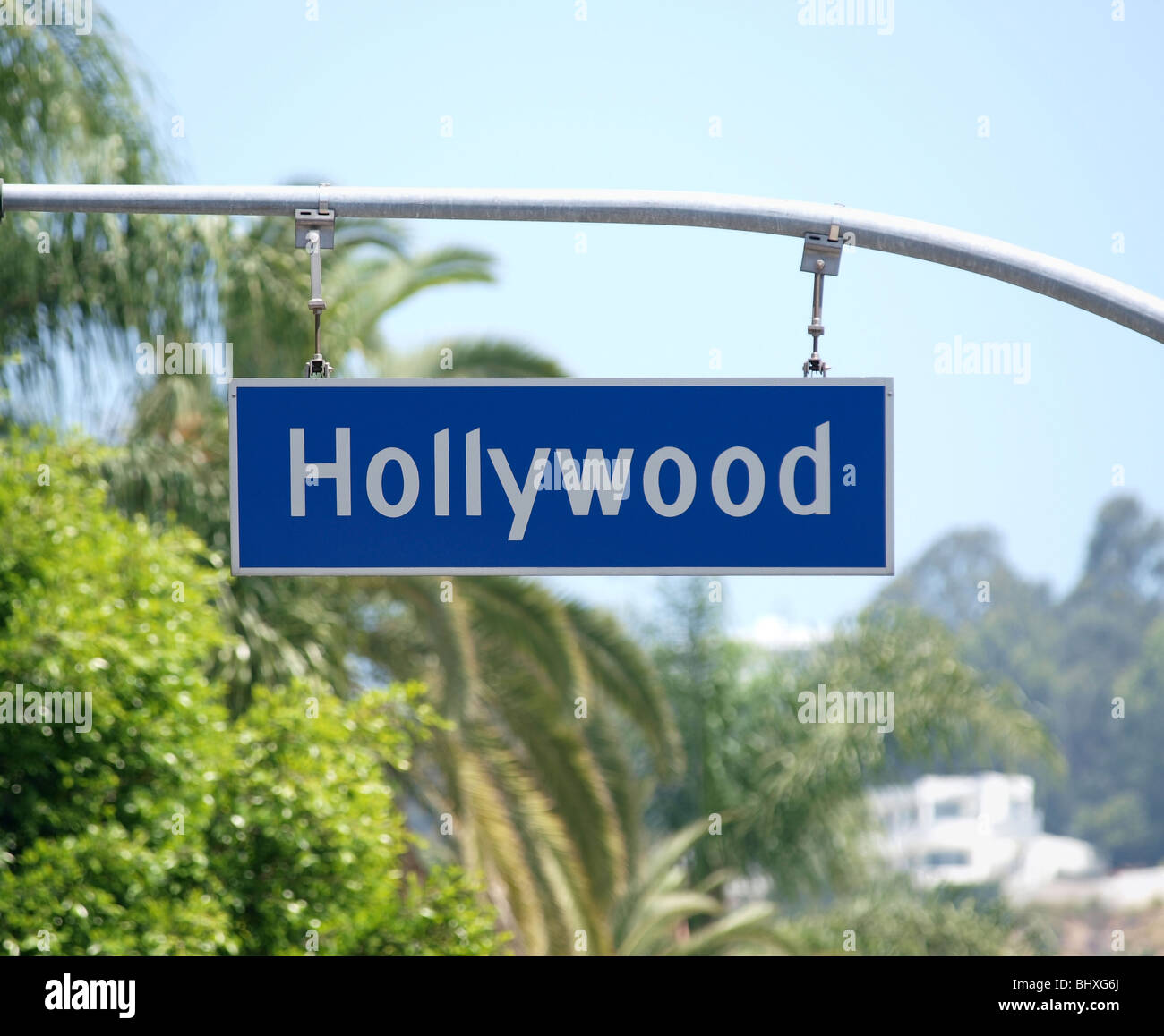 Hollywood Blvd signe avec palmier en toile de fond. Banque D'Images