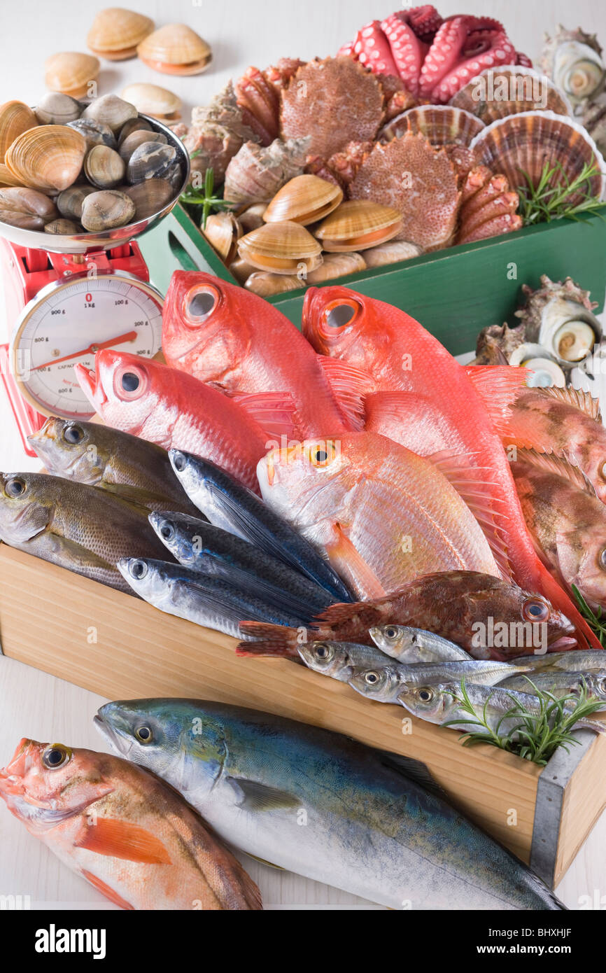 Fruits de mer Banque D'Images Fruits de mer Banque D'Images