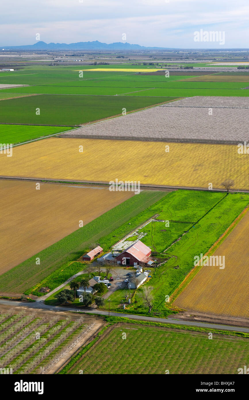 Les fermes de la Californie, Sacramento Valley avec le Sutter Buttes dans l'arrière-plan, pris de l'air. Banque D'Images