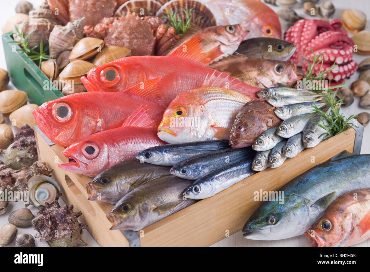 Fruits de mer Banque D'Images Fruits de mer Banque D'Images