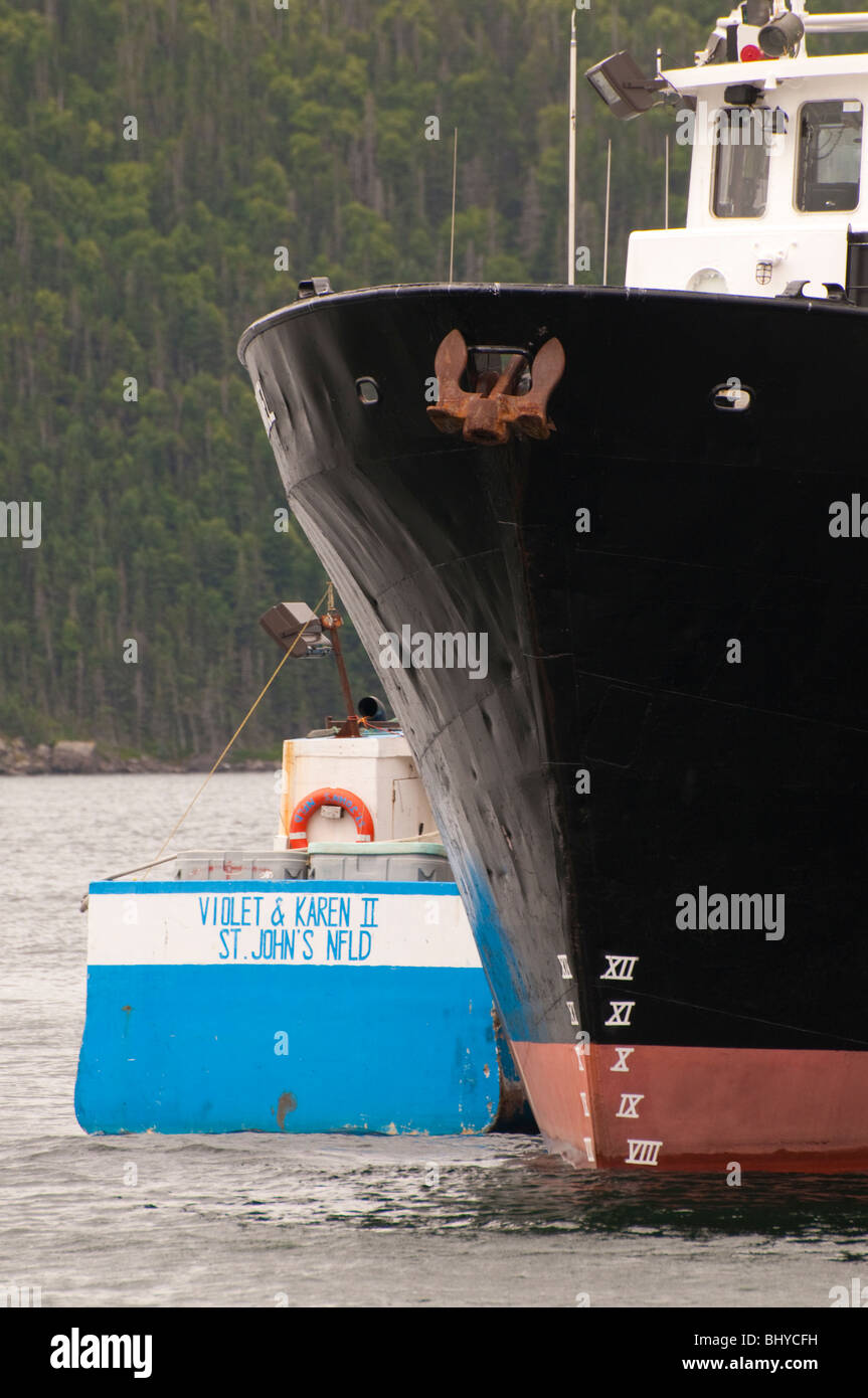 Terre-neuve, village de pêcheurs de WOODY POINT, bateaux de pêche commerciale dans le port. Le parc national Gros Morne, Banque D'Images