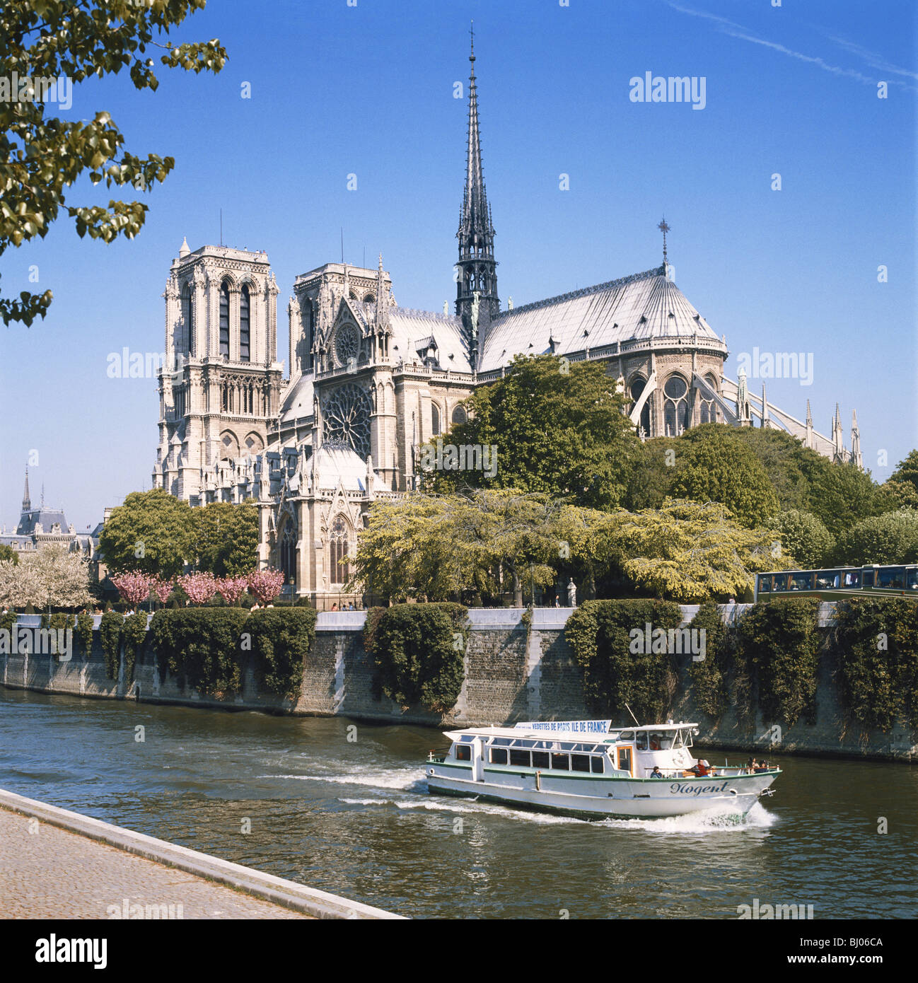 Excursion en bateau passe la Cathédrale Notre Dame sur la Seine, Paris, France Banque D'Images