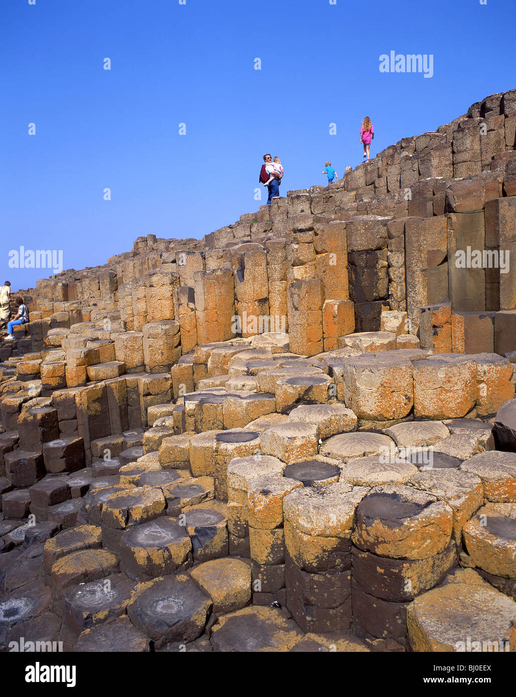 Le Giant's Causeway, comté d'Antrim, en Irlande du Nord, Royaume-Uni Banque D'Images