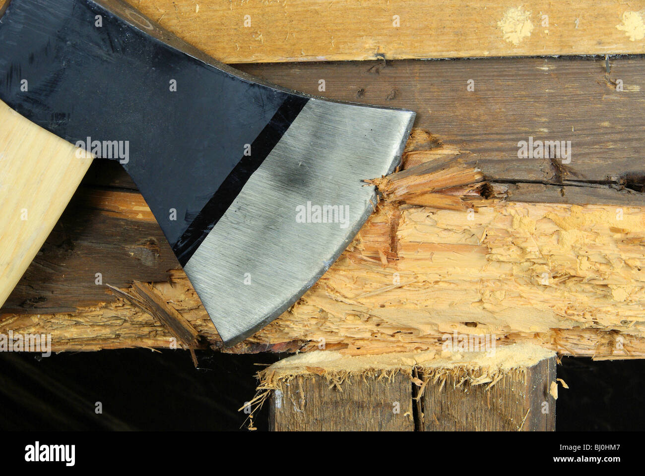 Le clos Mathilde - woodworm Golf Polo 08 Banque D'Images