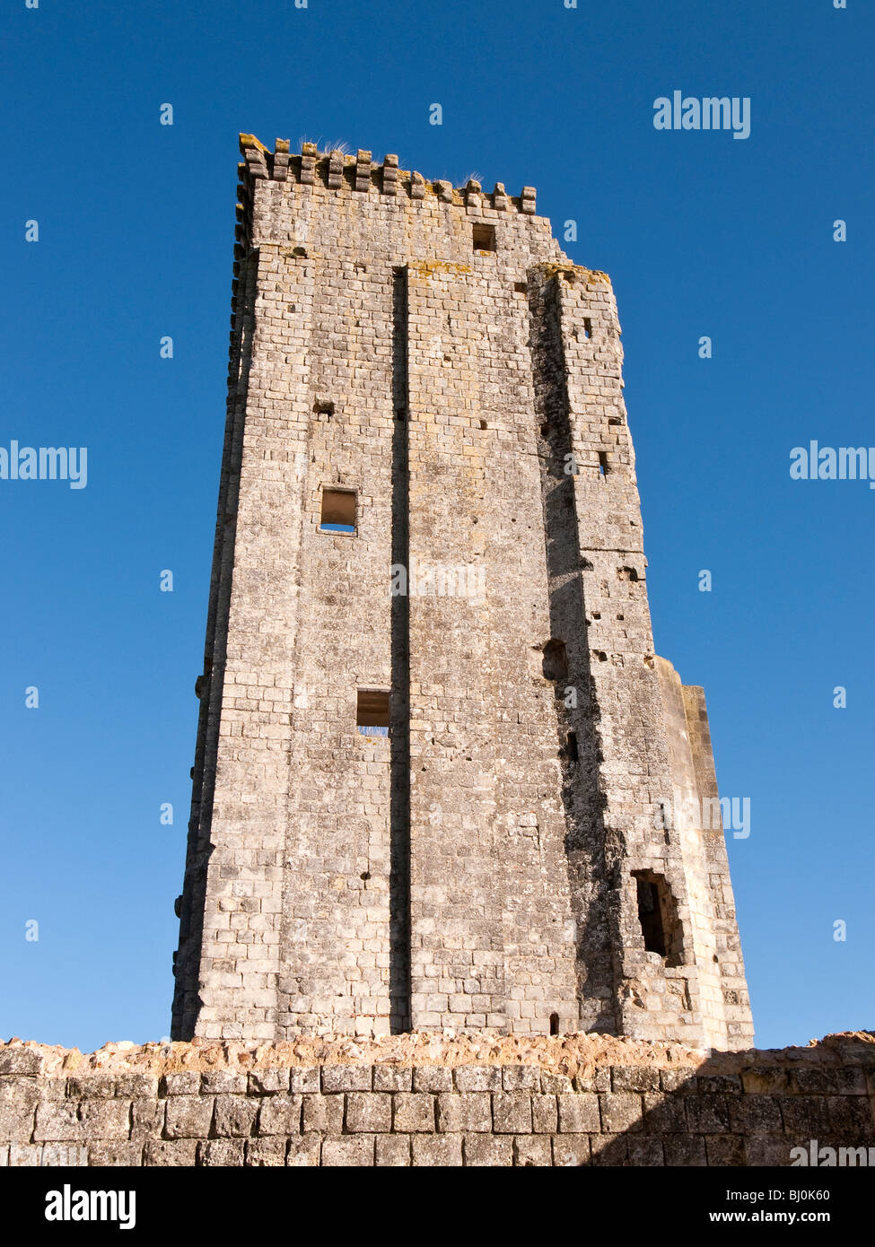 12ème siècle château Donjon, Le Grand-Pressigny, sud-Touraine, France. Banque D'Images