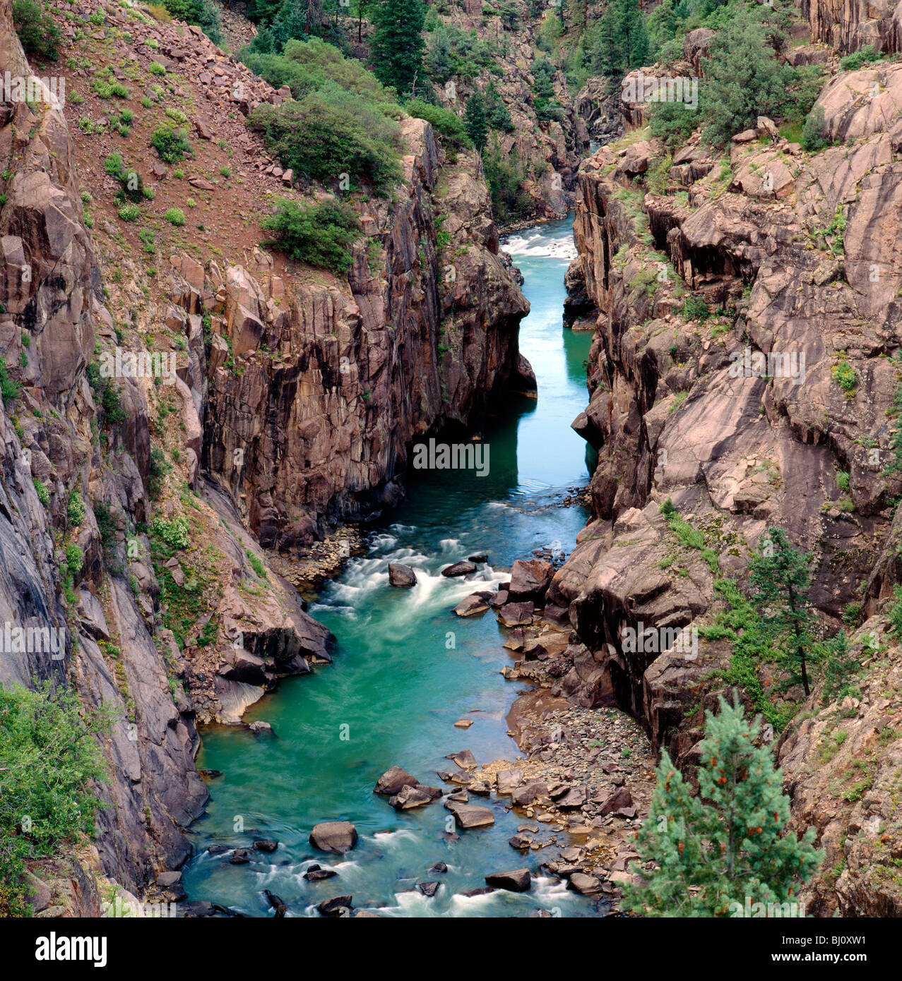 Rivière Animas, Animas Canyon, forêt nationale de San Juan, près de Durango, Colorado, USA Banque D'Images