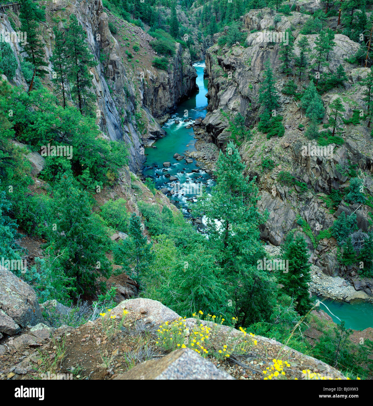 Rivière Animas, Animas Canyon, forêt nationale de San Juan, près de Durango, Colorado, USA Banque D'Images