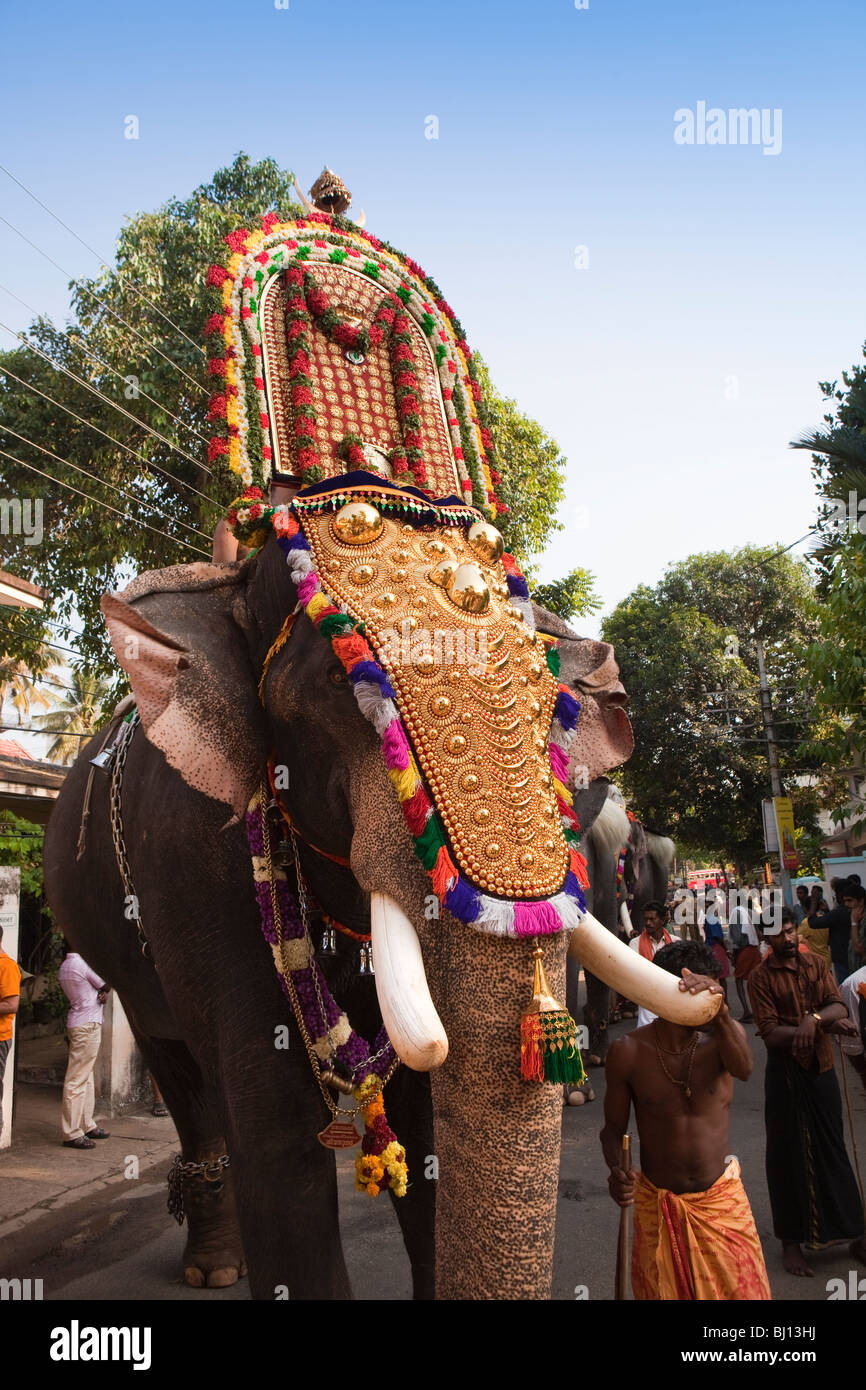 L'Inde, Kerala, Cochin, Uthsavom Parayeduppu d'Ernakulam, festival de l'éléphant procession caparisoned éléphant avec mahout Banque D'Images