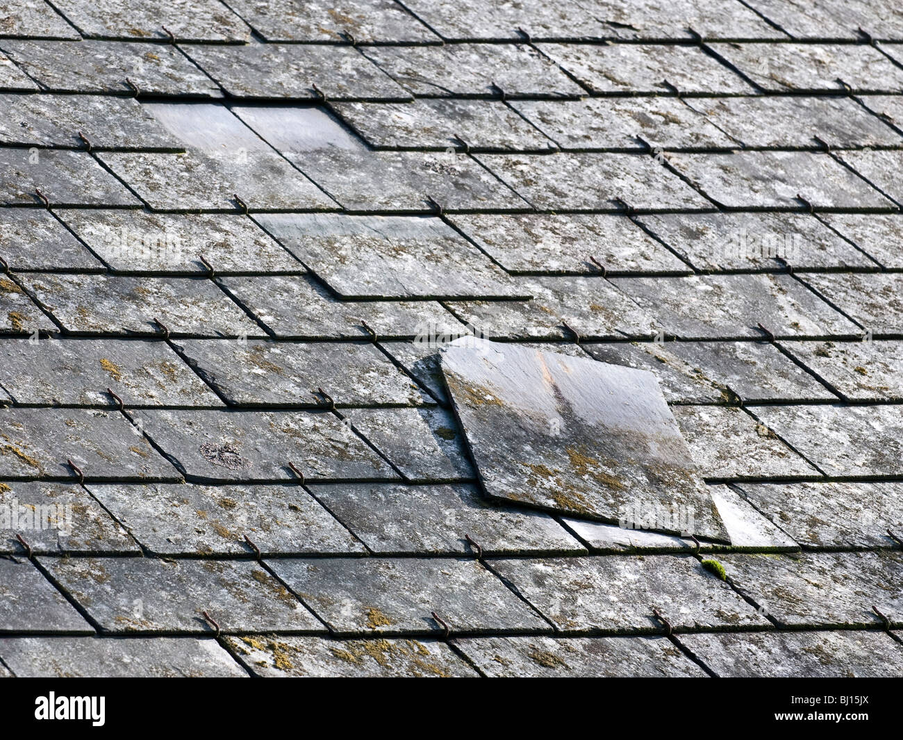 Glissé sur ardoise toiture maison ancienne, France. Banque D'Images