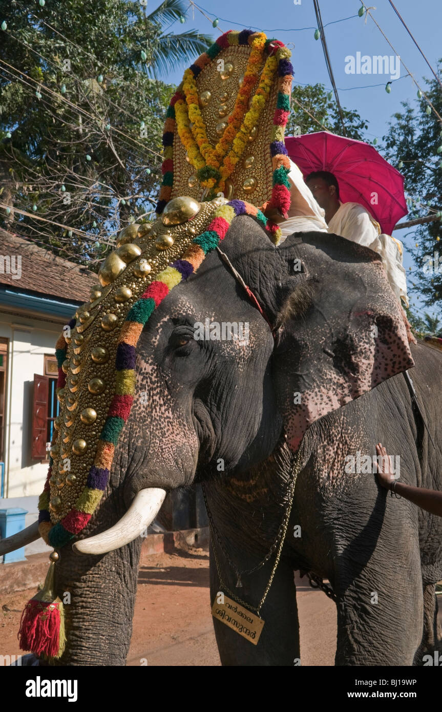 Éléphant à Varkala Kerala Inde festival du temple Banque D'Images