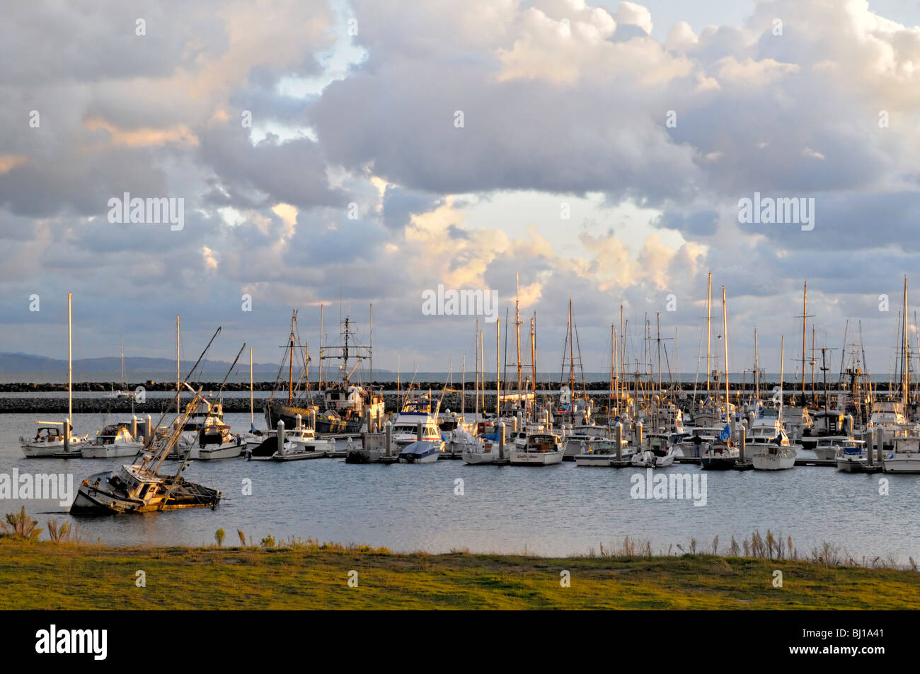 Pillar point Harbour, Half Moon Bay, San Mateo County California, un jour de tempête. Banque D'Images