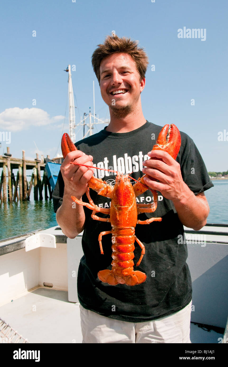 Maine, Portland, pêcheur commercial Le Capitaine Brendan prêt holding up rare Homard Orange Banque D'Images