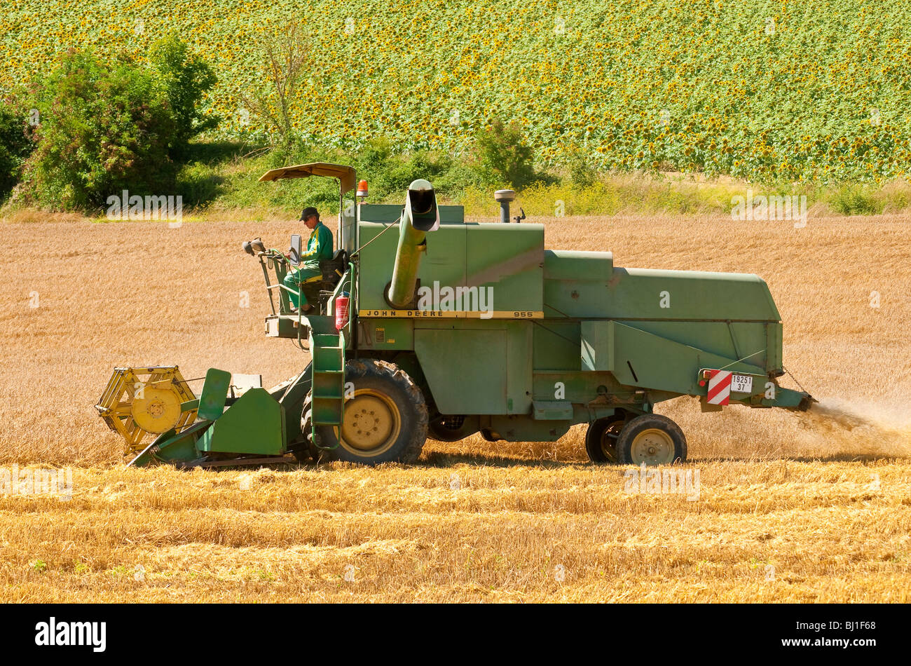 30 ans de moissonneuse-batteuse John Deere 955 - sud-Tourine, France. Banque D'Images