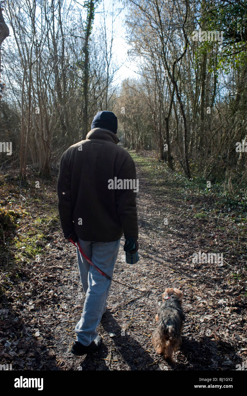 Somme Vallée, Nord de la France, hiver, Tourisme rural, Homme par derrière, marche loin, avec Dog in Forest Pathway Banque D'Images