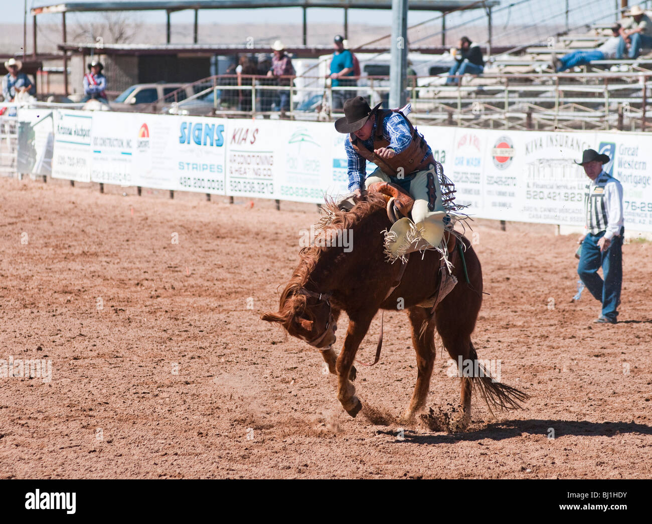 Un cowboy est en concurrence dans la Selle monte au cours de l'événement O'Odham Tash tous-Indian Rodeo Banque D'Images