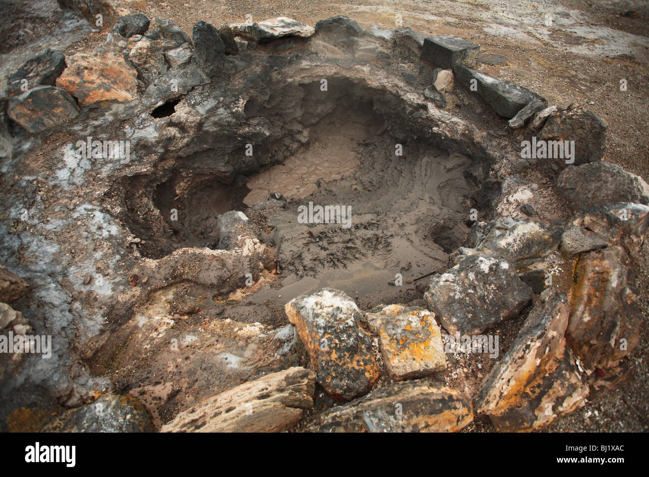 Mudpot. L'île de São Miguel, Furnas, Açores, Portugal. Banque D'Images