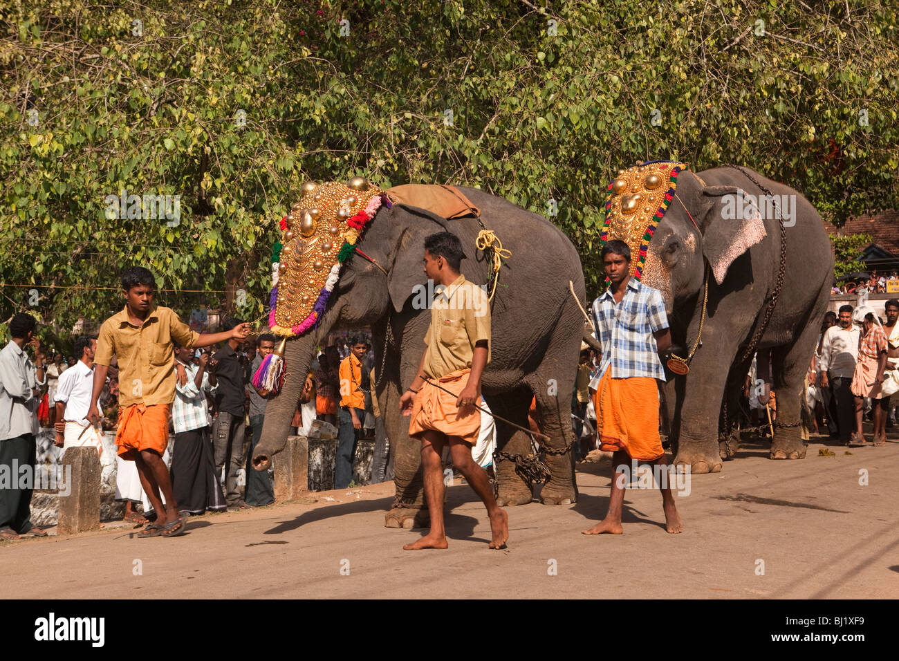 L'Inde, le Kerala, Adoor, Sree Parthasarathy temple, Gajamela festival, caparisoned éléphant à façon de rejoindre procession rituelle Banque D'Images