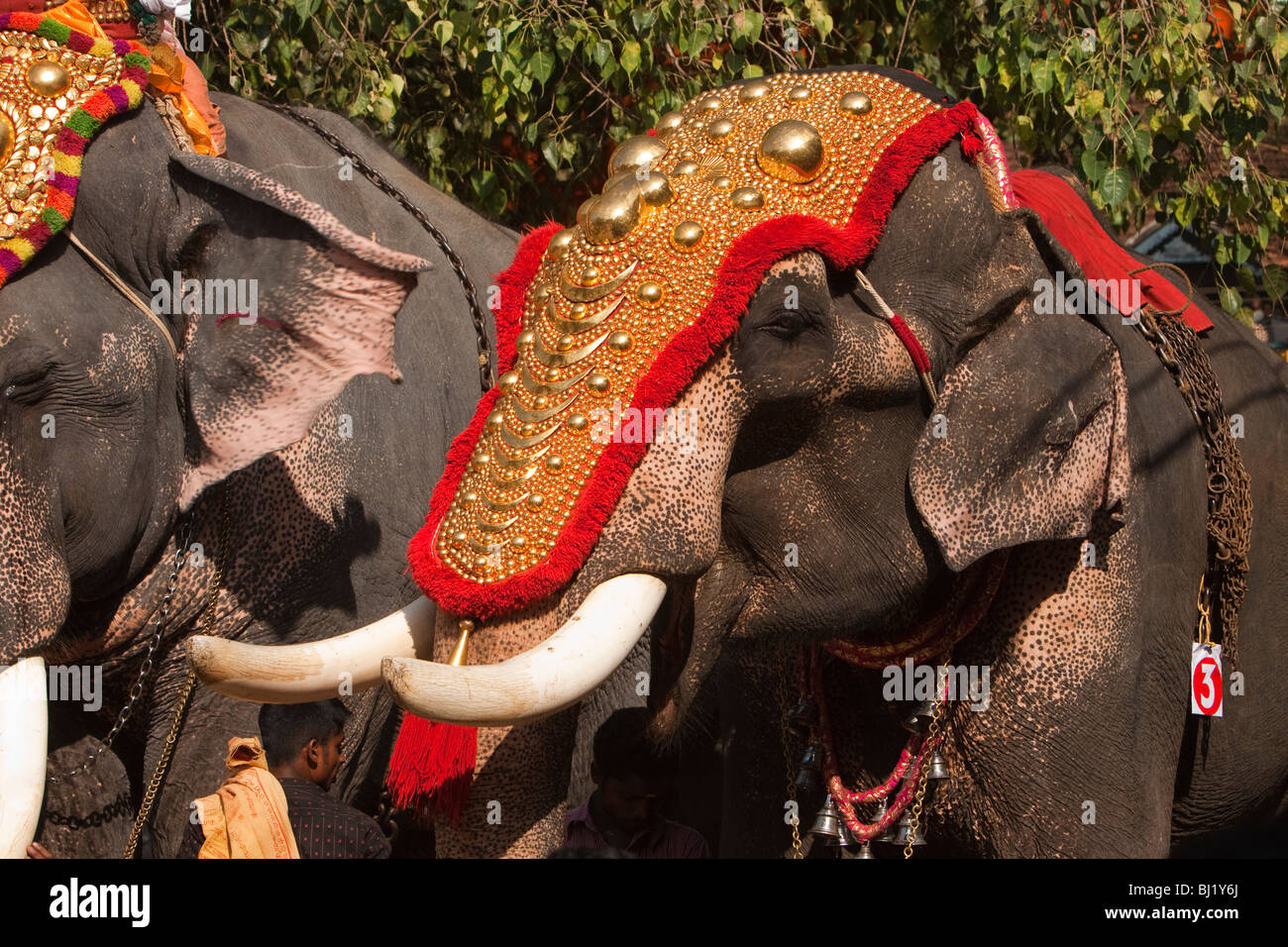 L'Inde, le Kerala, Adoor, Sree Parthasarathy temple, Gajamela festival, dans l'éléphant caparisoned procession rituelle Banque D'Images