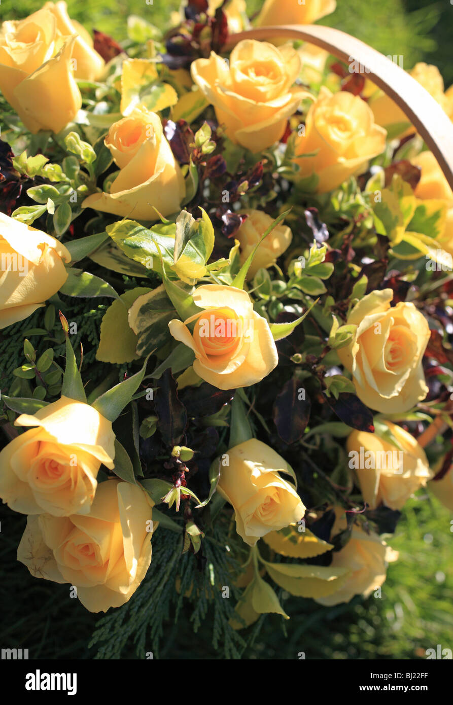 Des fleurs, des roses jaunes Banque D'Images