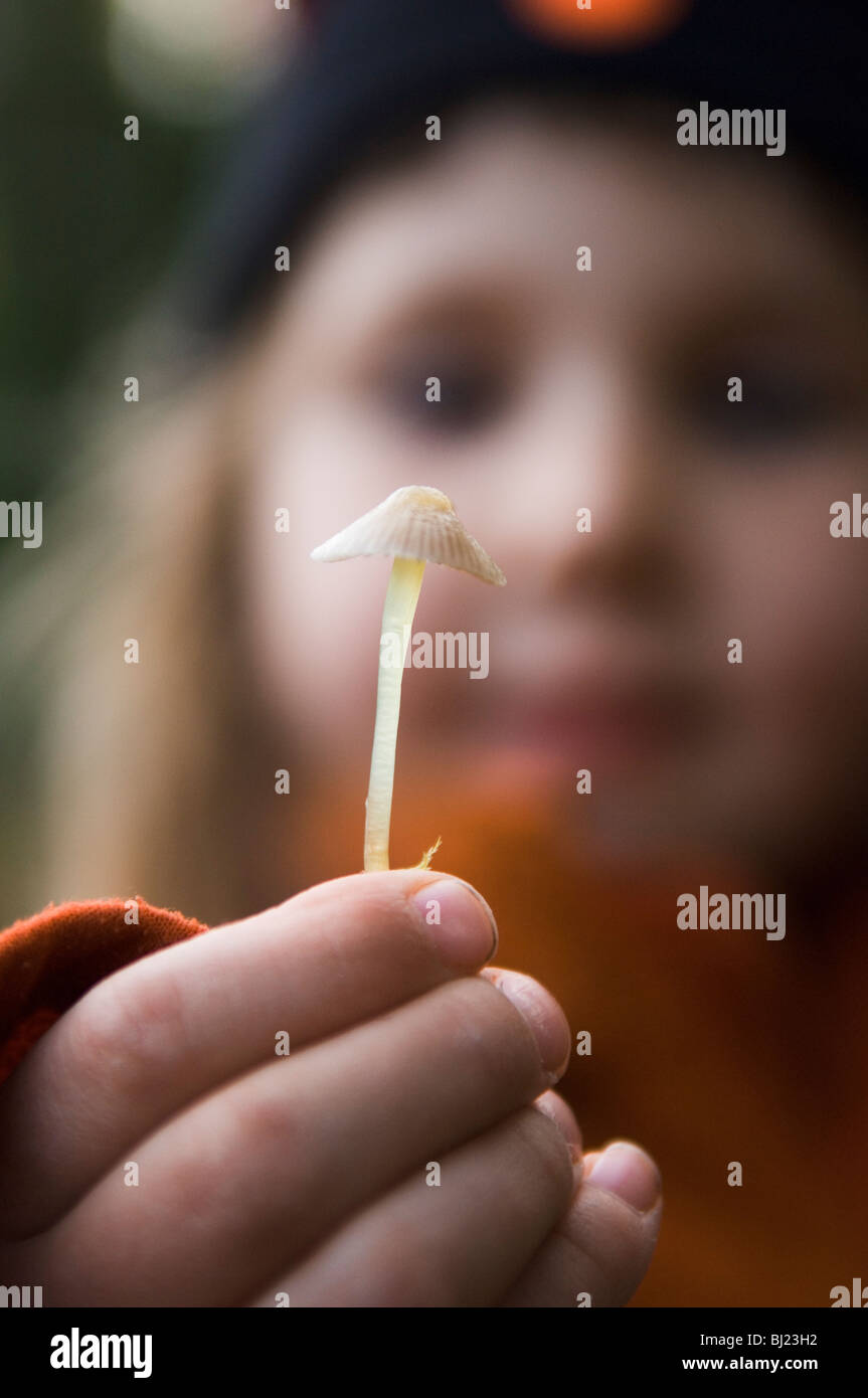 Un enfant à la recherche d'un champignon, la Suède. Banque D'Images