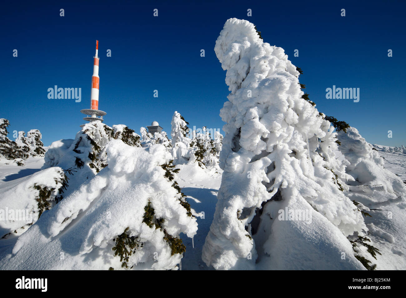 Mât de transmission, couverts de neige et de sapins en hiver, la montagne Brocken, Parc National Hochharz, Sachsen Anhalt, Allemagne  Banque D'Images