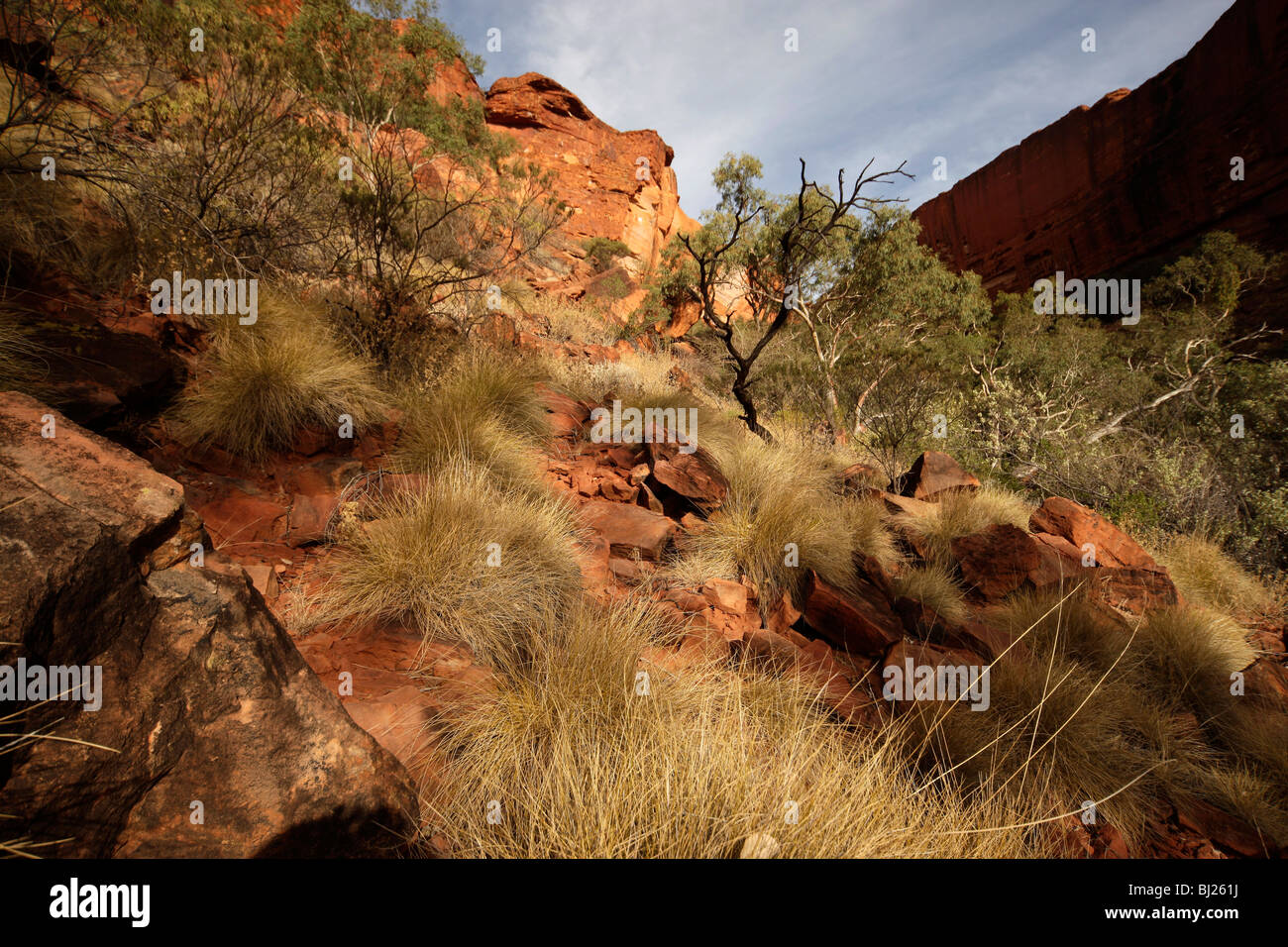 Kings Canyon, une partie de l'Watarrka National Park, Territoire du Nord, Australie Banque D'Images