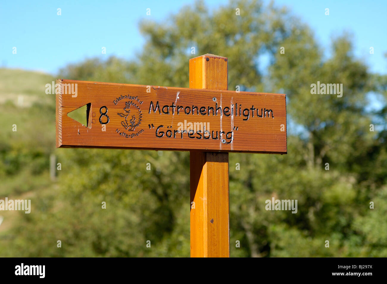 Naturpark Hohes Venn-Eifel Eifel, Nettersheim, gallo-römischer Tempelbezirk Görresburg Matronenheiligtum () Banque D'Images