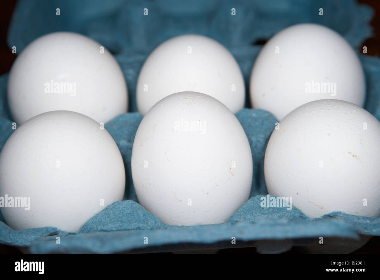 Fort de demi-douzaine d'œufs frais bio blanc Banque D'Images