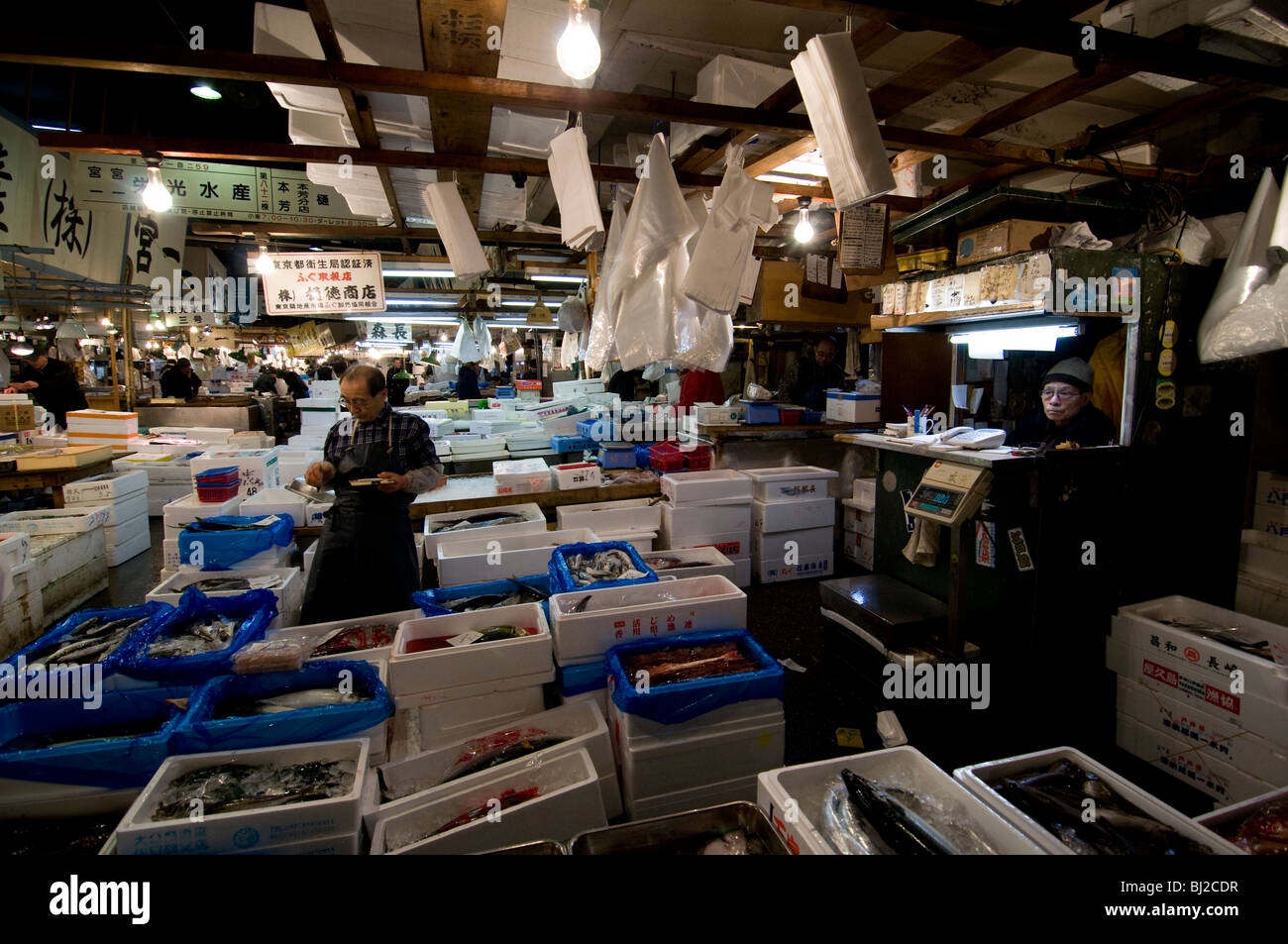 Le marché aux poissons de Tsukiji Banque D'Images