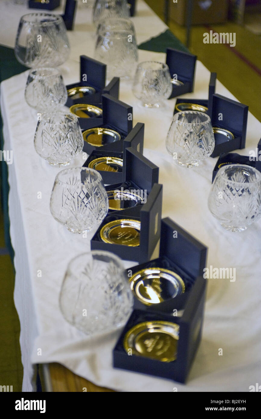 Tableau des trophées prix à bungay Running club blackdog run 2010 est Banque D'Images