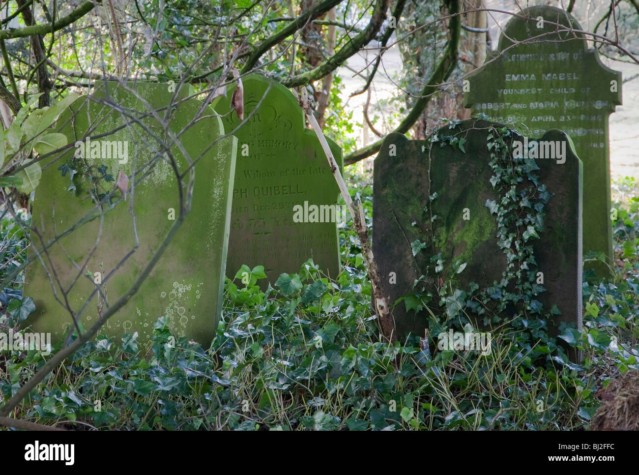 Famille bien cachée de pierres tombales dans un cimetière à Norfolk. Banque D'Images